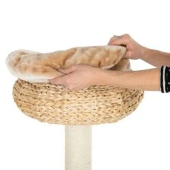 Banana Leaf Bali Cat Tree 14 Banana Leaf Bali Cat Tree -Savic Plan Store 105457 banana leaf kratzbaum bali fg 8 5