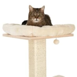 Natural Paradise Scratching Tree - Orchid L -Savic Plan Store 109398 katze fg 9360 6