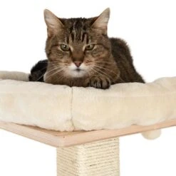 Natural Paradise Scratching Tree - Orchid M -Savic Plan Store 109398 katze fg 9361 8