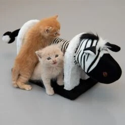 Shira Scratching Toy -Savic Plan Store 111498 mit katzen fg 1693 3