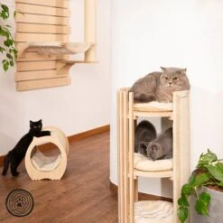 Natural Paradise Scratching Mat Cat Bed - Peony -Savic Plan Store 113004 np kl 1000x1000 logo la dsc0270 2