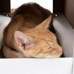 XL Cat Den With Scratching Pad Winter Edition -Savic Plan Store 116301 xl katzenhaus home inkl kratzbrett fg 3669 3