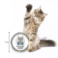 Kater Kasimir Catnip -Savic Plan Store 144896 asaquaristik kater kasimir katzenminze cat 60g hs 03 9