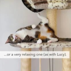 Kater Kasimir Catnip -Savic Plan Store 144896 asaquaristik kater kasimir katzenminze cat 60g hs 05 4