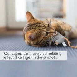 Kater Kasimir Catnip -Savic Plan Store 144896 asaquaristik kater kasimir katzenminze cat 60g hs 06 3