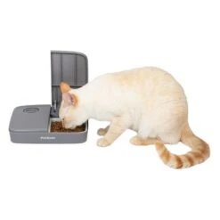 PetSafe® Automatic 2 Meal Pet Feeder -Savic Plan Store 145997 rasiosystems petsafe futterautomat 2mahlzeiten catdog 2x355xml hs 07 9