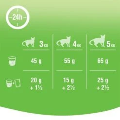 Kitekat Adult Dry Cat Food – Chicken And Vegetable -Savic Plan Store 164398 marspl kitekat dryadult chickenvegetables hs 04 3