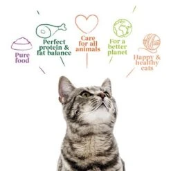 Yarrah Organic Fillets In Sauce 14 X 85g -Savic Plan Store 1 8136 cat pouch chicken 85g 8714265000829 2 3