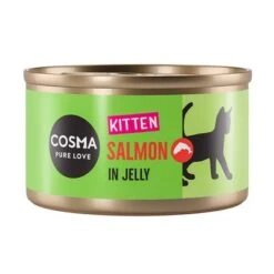 Cosma Original Kitten Saver Pack 24 X 85g -Savic Plan Store 203440 pla cosma kitten salmon jelly 85g 1000x1000 6