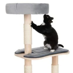 Cali Cat Tree -Savic Plan Store 215615 kratzbaum cali fg 9026 8