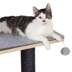 Raleigh Scratching Tree -Savic Plan Store 216199 kratzbaum raleigh fg 8247 8