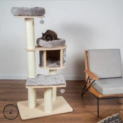 Natural Paradise Cat Tree Magnolia L