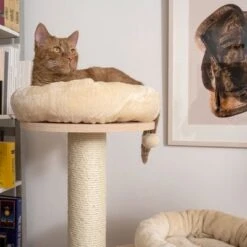 Natural Paradise Cat Tree Magnolia L -Savic Plan Store 239396 np magnolia im wohnraum fg 8826 0