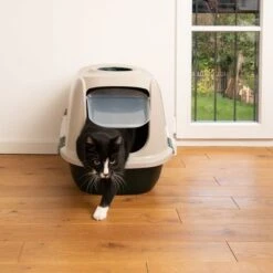 Kooa Covered Cat Litter Tray - 90% Recycled Plastic -Savic Plan Store 298396 kooa haubentoilette fg 0891 1