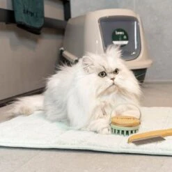 Kooa Antibacterial Toilet Mat -Savic Plan Store 314903 kooa antibakterieller toilettenvorleger shoot 2