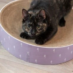 Trixie Scratching Bed Lilly 10 Trixie Scratching Bed Lilly -Savic Plan Store 332797 trixie kratzbett lilly hs 07 3