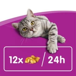 Whiskas Temptations Mixed Pack -Savic Plan Store 348898 mars whiskas snacks mixpack 16x60g hs 04 8