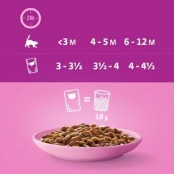 Whiskas Junior Pouches 48 X 85g -Savic Plan Store 355998 megapack whiskas junior frischebeutel klassischeauswahl 48x hs 07 3