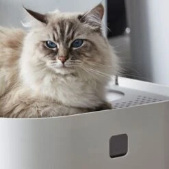 Modko ModKat Cat Litter Box -Savic Plan Store 35895 modkat katzentoilette wei hs 03 1