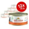 Economy Pack Almo Nature HFC Complete 12 X 70 G