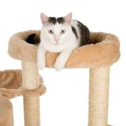 Bear's Den Cat Tree -Savic Plan Store 49702 kratzbaum baerenhoehle fg 4761 6
