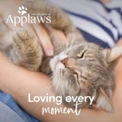 Applaws Senior Cat Food -Savic Plan Store 64847 64768 applaws senior huhn hs 8 1 4