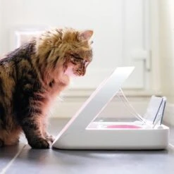 SureFeed Microchip Pet Feeder 15 SureFeed Microchip Pet Feeder -Savic Plan Store 65566 surefeed microchip pet feeder hs 01 1