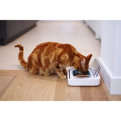 SureFeed Sealed Pet Bowl 2 SureFeed Sealed Pet Bowl - Image 2