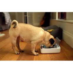 SureFeed Sealed Pet Bowl 10 SureFeed Sealed Pet Bowl -Savic Plan Store 69308 pla 6 luftdichte futt 3