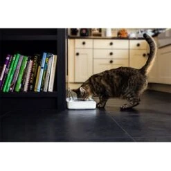 SureFeed Sealed Pet Bowl 13 SureFeed Sealed Pet Bowl -Savic Plan Store 69308 pla 7 luftdichte futt 5