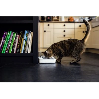 SureFeed Sealed Pet Bowl 6 SureFeed Sealed Pet Bowl - Image 6