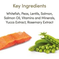 Applaws Cat Food Economy Packs -Savic Plan Store 71009 applaws adult meeresfisch lachs hs 02 5