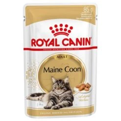 Savic Plan Store -Savic Plan Store 72436 pla royalcanin meincoon wet 6