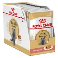 Royal Canin British Shorthair Adult In Gravy -Savic Plan Store 72437 royalcanin britishshorthair wet pack hs 01 6