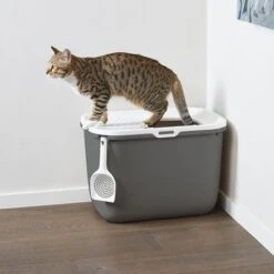 Savic Hop In Litter Box -Savic Plan Store 73657 savickatzentoilette hopin hs 09 6