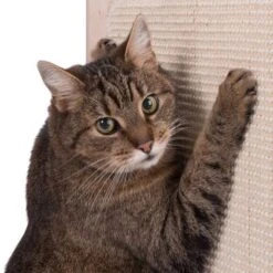 Natural Paradise Scratching Barrel - Daisy -Savic Plan Store 75376 kratztonne np kahone fg 5701 2