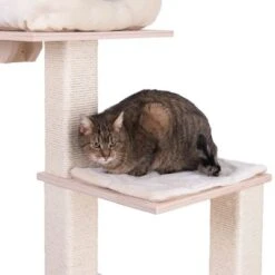 Natural Paradise Scratching Tree - Orchid Vanda L -Savic Plan Store 75552 kratzbaum np quadra fg 6204 8