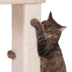 Natural Paradise Scratching Tree - Orchid Vanda L -Savic Plan Store 75552 kratzbaum np quadra fg 6205 0