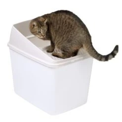 Big Box Cat Litter Tray -Savic Plan Store 78725 top entry katzentoilette fg 7268 1