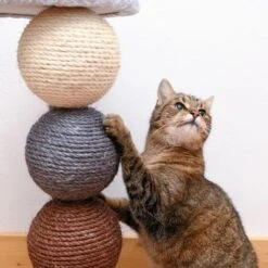 Planet Scratch Post 13 Planet Scratch Post -Savic Plan Store 80399 kratzbaum und katze fg 1295 4