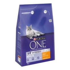 Purina ONE Adult Chicken Dry Cat Food