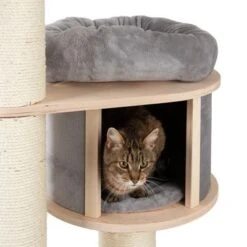 Natural Paradise Scratching Tree - Magnolia XL -Savic Plan Store 86601 kratzbaum np xl standard fg 2970 4