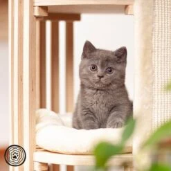 Natural Paradise Scratching Barrel - Lily -Savic Plan Store 99937 np kt pb 1000x1000 logo la mg 6231 6