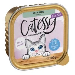 Catessy Trays Mixed Packs Saver Pack 32 X 100g -Savic Plan Store catessy finepate game 100g 1000x1000 2