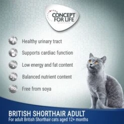 Concept For Life British Shorthair Adult - In Ragout -Savic Plan Store cfl cat wet board british shorthair adult 6