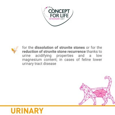 Concept For Life Veterinary Diet Urinary - Beef 2 Concept For Life Veterinary Diet Urinary - Beef - Image 2