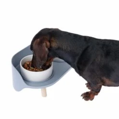 TIAKI Ceramic Bowl Duo 15 TIAKI Ceramic Bowl Duo -Savic Plan Store dsc6184 0