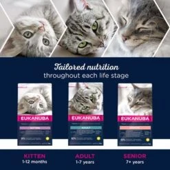Eukanuba Healthy Start Kitten -Savic Plan Store eukanuba dcf life phases 8