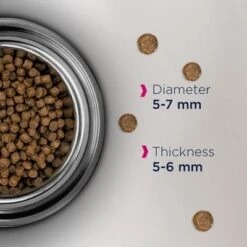 Eukanuba Healthy Start Kitten -Savic Plan Store eukanuba healthy start kitten dcf foodshot 8