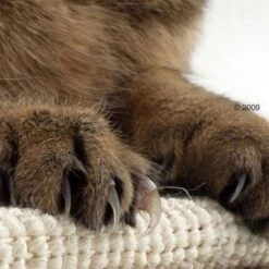 Trixie Sisal Cat Scratching Board -Savic Plan Store katzen kratzmatte1 1